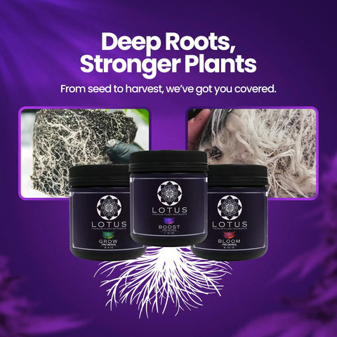 Three Part Plant Nutrient Starter Kit With Grow Bloom And Boost Powders, containers and root growth images.