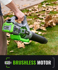 Person using Cordless 60V Electric Leaf Blower With 810 CFM And Variable Speed near wet leaves in yard.