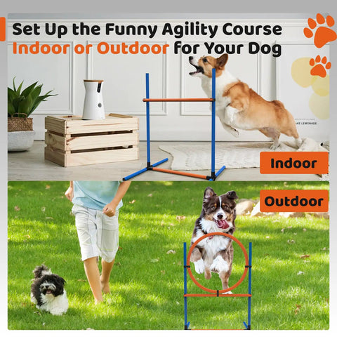 Image of a 4-Piece Dog Agility Training Kit With Adjustable Hoop Jump Weave Poles Pause Box And Outdoor Obstacle Course Gear