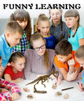 Hands On Dino Fossil Dig Kit For Kids Ages 5 To 7 And 8 To 12 With Real Fossils Teeth Claws And Lava Stones 3D T Rex Skeleton
