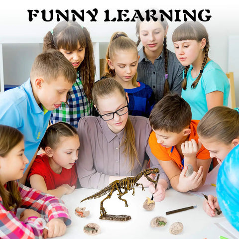 Hands On Dino Fossil Dig Kit For Kids Ages 5 To 7 And 8 To 12 With Real Fossils Teeth Claws And Lava Stones 3D T Rex Skeleton