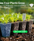 Easy To Use 72 Cell Seed Starter Kit with clear propagation trays showing root growth and lettuce seedlings development