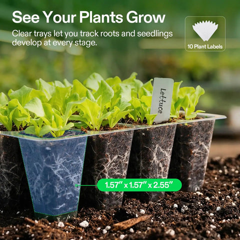 Easy To Use 72 Cell Seed Starter Kit with clear propagation trays showing root growth and lettuce seedlings development