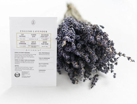 Certified Organic Herb Seed Pack, Ten Pack, Non GMO Heirloom Varieties With Seed Starting Video Guide For Homegrown Basil, Cilantro, Oregano, Thyme, Parsley, Lavender, Chives, Sage And Dill For Indoor And Outdoor Gardening displayed with English Lavender seed packet and dried lavender flowers