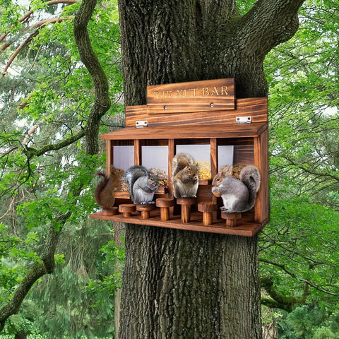 Wooden Squirrel Picnic Table Feeder With Four Seed Compartments And Seven Tier Bar Stools on a tree with three squirrels