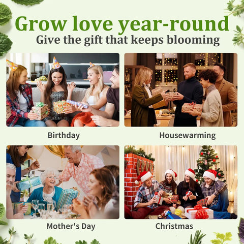 Indoor Herb Garden Starter Kit Beginner Friendly With 7 Herbs Like Basil Parsley Thyme Mint Cilantro Dill Oregano gift settings.
