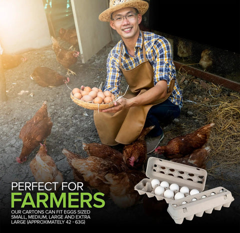 Farmer with egg basket, Egg Cartons With Viewing Windows 15 Pack Holds 180 Eggs Eco Friendly Recyclable Pulp Fiber on ground