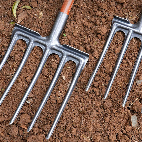 Close-up of two Heavy Duty High Carbon Steel Garden Fork With Five Tines Anti Breakage Spading Forks on soil.