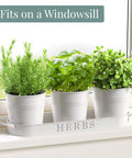 Indoor Herb Garden Planter Set With Tray For Windowsill And Countertop, Metal Farmhouse Style Planters With Drainage, Set Of 3 White on windowsill