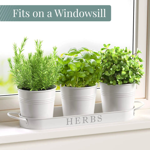 Indoor Herb Garden Planter Set With Tray For Windowsill And Countertop, Metal Farmhouse Style Planters With Drainage, Set Of 3 White on windowsill