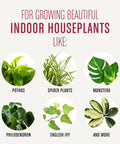 Top Shelf 4 Quart Indoor Plant Potting Mix Loaded With Fast Feeding Fertilizer keeps houseplants like pothos and spider plants thriving.