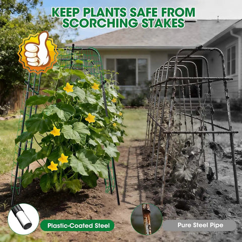 Comparison of plastic-coated steel vs. pure steel pipe for U Shaped Metal Garden Trellis For Climbing Cucumbers And Vines