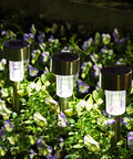 12 Pack Solar Pathway Lights Stainless Steel Outdoor LED Landscape Lights For Walkways Patios Lawns Yards And Driveways IP55 Waterproof Easy Setup Cold White Glow All Weather No Fuss Maintenance Free among flowers at night.