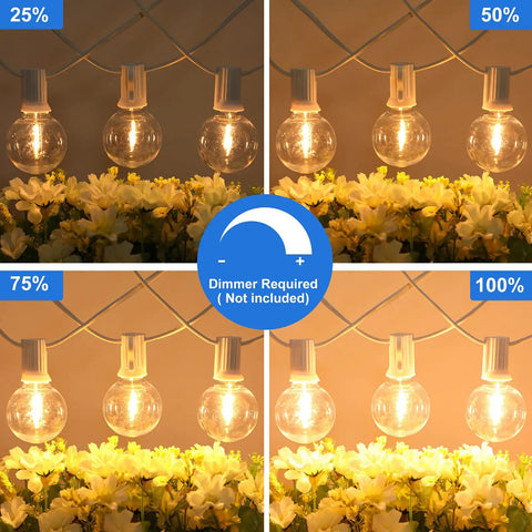 100Ft Outdoor G40 LED Globe String Lights Dimmable Shatterproof Waterproof With 52 Bulbs Connectable For Patio Balcony Lit Backyard Bash Parties White Wire 2 Pack
