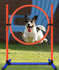 Small dog jumping through hoop in durable indoor outdoor dog agility set with jump rings poles pause box and storage bag
