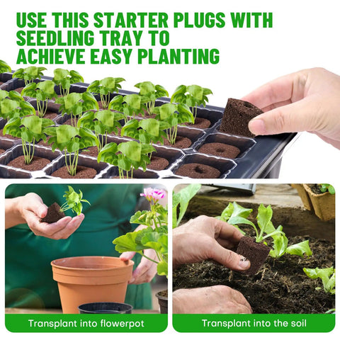 40 Seed Starter Plugs With Tray Set For Quick Germination And Easy Planting, Baltic Peat Moss Grow Sponges being used for transplanting.