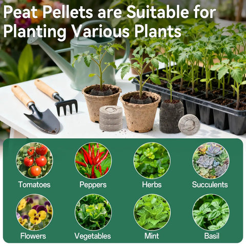 55 Pack 30Mm Peat Pellets For Seedlings, Compressed Garden Soil Pods next to plant trays with gardening tools.