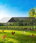 Big Walk In Chicken Coop With Run Galvanized Poultry Enclosure With Waterproof UV Cover And Secure Lock Sturdy Steel Frame