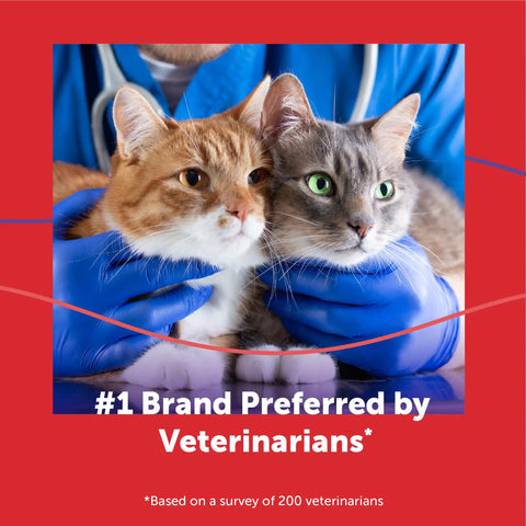 Veterinarian holding two cats, promoting Calming Plug In Diffuser Starter Kit For Cats 30 Day Pheromone Diffuser Helps Cut Cat Drama.
