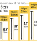 Different sizes of 600 black nails in 4 sizes nail assortment kit for picture hanging and woodworking finishing nails for drywall and repairs.