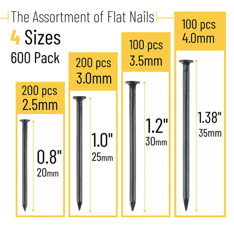 Different sizes of 600 black nails in 4 sizes nail assortment kit for picture hanging and woodworking finishing nails for drywall and repairs.