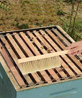 Two Pack Beekeeping Bee Brushes With Long Sixteen Point One Inch Wooden Handles And Natural Horsehair Bristles Clean Hive Frames