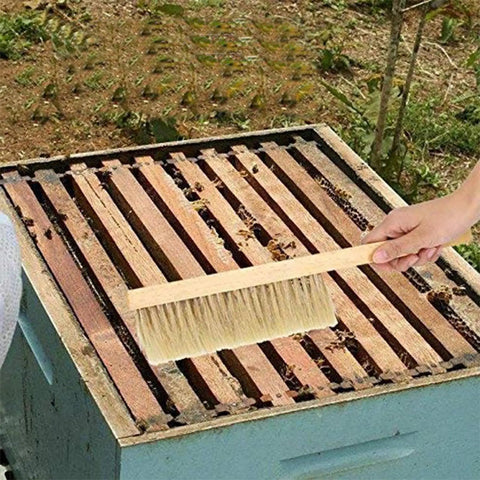 Two Pack Beekeeping Bee Brushes With Long Sixteen Point One Inch Wooden Handles And Natural Horsehair Bristles Clean Hive Frames