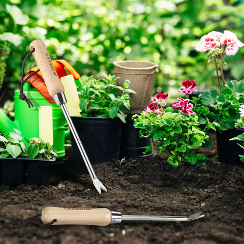 Two Pronged Dandelion Weeder Puller Tool With Wood Handle Stainless Steel Garden Weed Remover in garden setting.