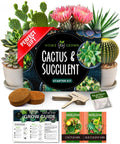Succulent And Cactus Seed Kit For Planting Enthusiasts Favorite Premium Starter Kit With Four Planters Drip Trays Markers Seeds Mix And Soil Great Diy Gift For Beginners And Plant Nerds; Includes planters, markers, nutrition pack
