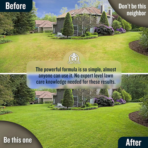 Lawn before and after using Thatch Buster Liquid Lawn Aerator and Dethatcher With Hose End Sprayer 32 Oz, showing improved grass