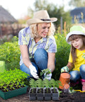 Woman and child using 7 Pack Seed Starter Tray Kit With 84 Separate Cells Humidity Dome And Base Clear Indoor Greenhouse Mini Propagator.