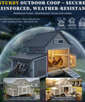 Outdoor Chicken Coop For 2 To 4 Chickens In The Backyard Weatherproof Wooden Hen House with raised floor, secure lock latches