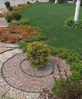 4 Inch HDPE Landscape Edging For Lawns And Flower Beds Flexible Garden Border System Black curved around plants on gravel