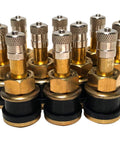 Front view: brass clamp-in tubeless tire valve stems with knurled tops and rubber bases, pack of 10.