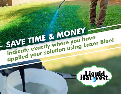 Liquid Harvest Lazer blue turf marker dye sprayed on a lawn from a wand; white bucket foreground; logo visible