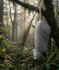 Real Wild Hanging Opossum 3D Archery Target With Premium Foam Construction mounted on tree in forest setting