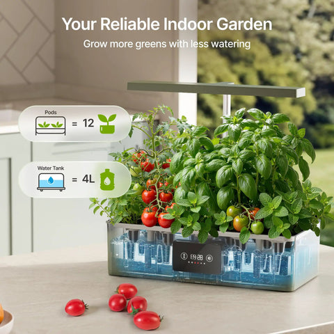Hydroponics Growing System Kit With 24W Dimmable Grow Light For Indoor Herb Garden 12 Pods Timer in kitchen with plants