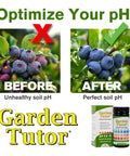 Before and after images showing Soil pH Test Kit With 100 Strips And AI Web Reader For Quick Pro-Grade pH Checks In Lawn, Garden And Compost From 3.5 To 9 In About 60 Seconds Great For Lawn And Garden Care, Quick, Easy Home Use, And Compost Testing effectiveness in optimizing pH.