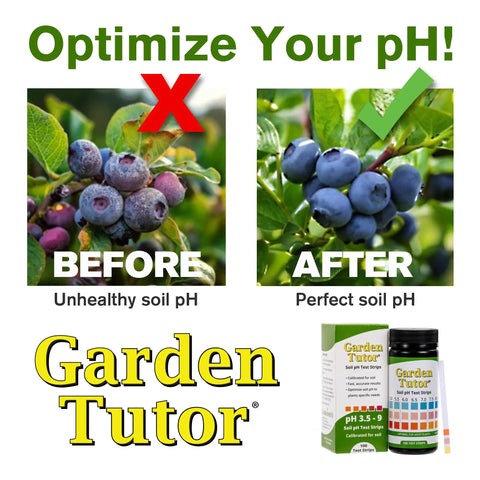 Before and after images showing Soil pH Test Kit With 100 Strips And AI Web Reader For Quick Pro-Grade pH Checks In Lawn, Garden And Compost From 3.5 To 9 In About 60 Seconds Great For Lawn And Garden Care, Quick, Easy Home Use, And Compost Testing effectiveness in optimizing pH.