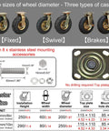 Bulletproof Rubber Caster Wheels For Yard Cart Trolley 2 Pack Swivel And Brake Casters showcasing fixed, swivel, and brake types with stainless steel mounts.