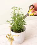 Cutter Bee Precision Craft Scissors With Micro Tip For Small Details trimming potted herbs, ergonomic stainless steel snips.