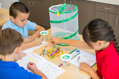 Children using Butterfly Garden Kit With 10 Live Caterpillars, Habitat, Feeder, Chrys-A-Lid Holders, and STEM Activity Journal.