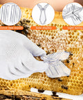 Pro Grade Beekeeping Honey Harvest Kit queen catcher tool on honeycomb with glove in apiary