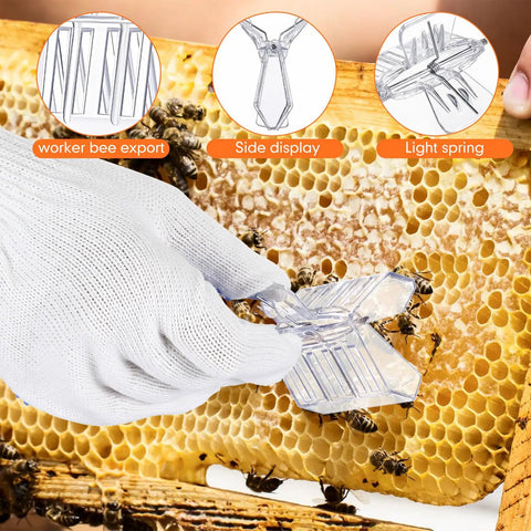 Pro Grade Beekeeping Honey Harvest Kit queen catcher tool on honeycomb with glove in apiary
