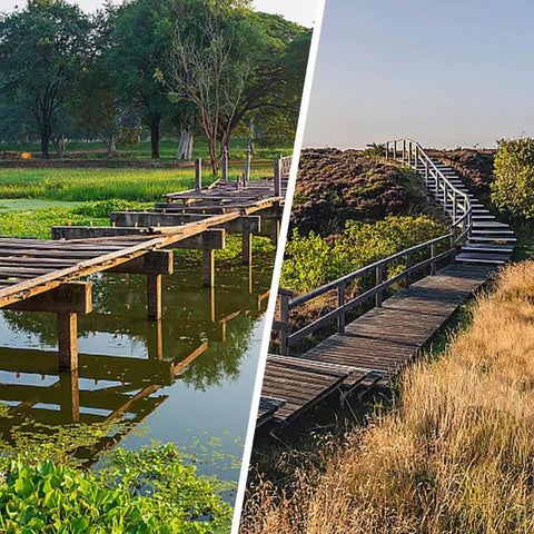Wooden boardwalks in nature, illustrating need for Heavy Duty 50 Pack 10 Inch Landscape Anchoring Spikes For Pavers Weed Barriers Turf House