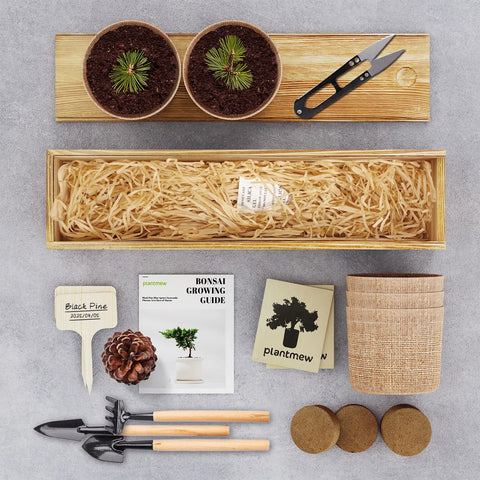 Beginner Friendly Five Varieties Japanese Bonsai Seed Kit for Indoor Gardening, Grow Your Own Mini Trees With Included Tools layout