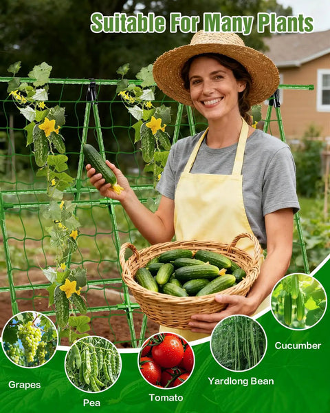 Woman using Adjustable A-Frame Garden Trellis For Raised Beds With Climbing Net And Plant Clips, holding cucumbers