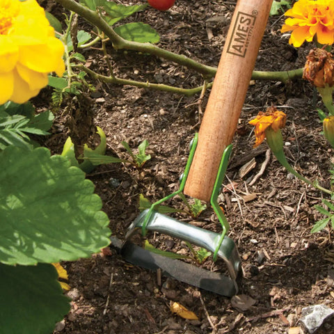 Mini Action Hoe Weeder For Easy Weeding And Cultivating Around Live Plants With Push Pull Motion Gel Grip Comfort Handle And Sturdy Wood Handle Garden Tool in use among flowers