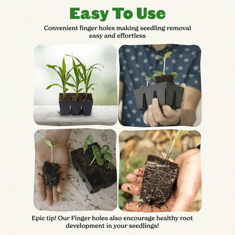 Reusable Seed Starter Tray Set for Easy Watering and Seedlings, 6-cell trays, demonstrating seedling removal using finger holes