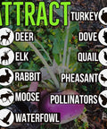 Buffalo Blend Seed Mix 50Lb Bulk For Wildlife Food Plots with Daikon Radish image, lists animals attracted by this forage mix